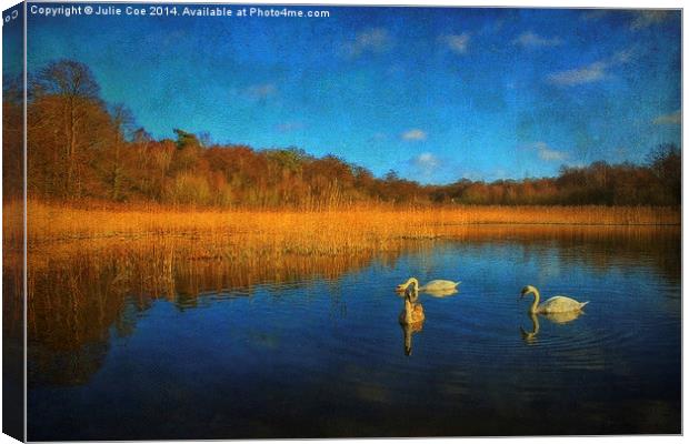 Swans At Selbrigg 2 Canvas Print by Julie Coe