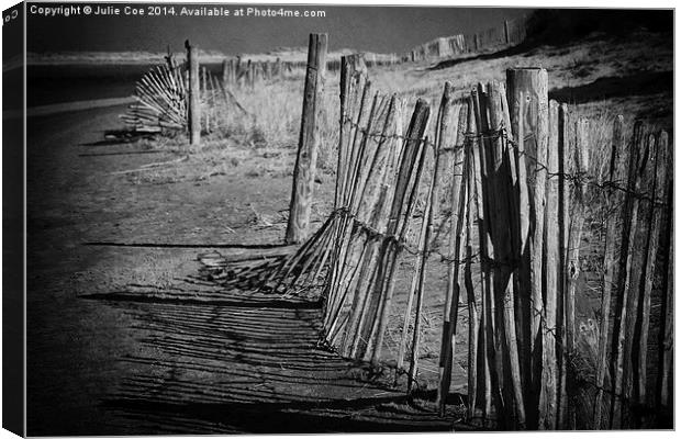 Holkham, Norfolk BW Canvas Print by Julie Coe