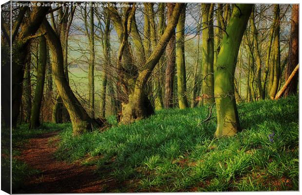 Bunkers Hill Edgefield 2 Canvas Print by Julie Coe