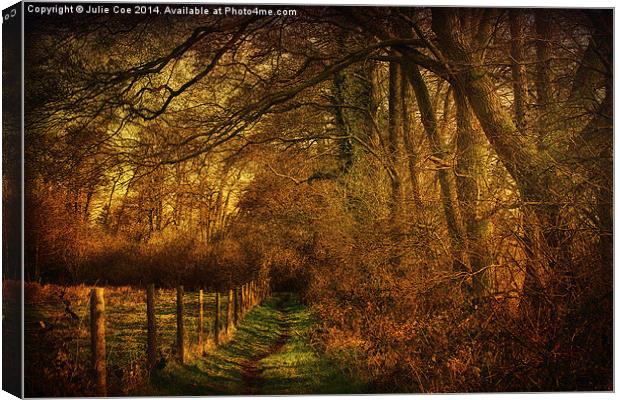 Path To Hunworth Canvas Print by Julie Coe