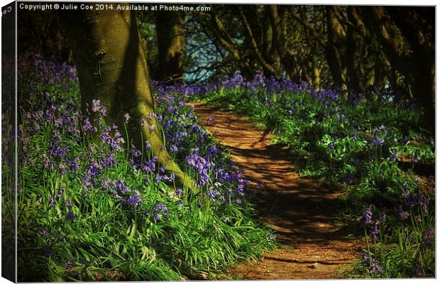 Bunkers Hill Bluebells Canvas Print by Julie Coe