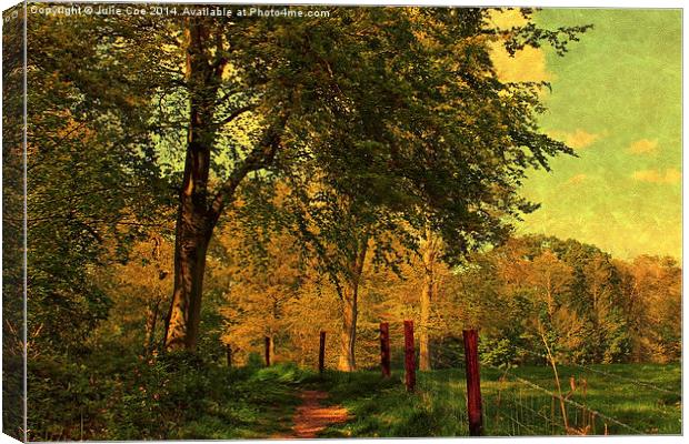 Blickling Woods, Norfolk 2 Canvas Print by Julie Coe