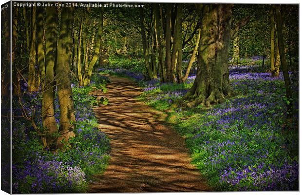 Bluebells At Blickling 5 Canvas Print by Julie Coe