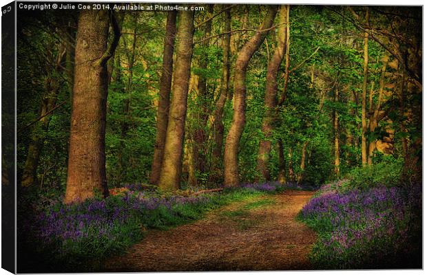 Bluebells At Blickling 7 Canvas Print by Julie Coe