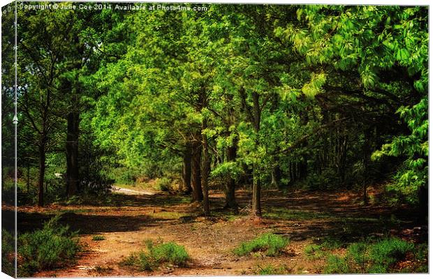 Holt Country Park 14 Canvas Print by Julie Coe