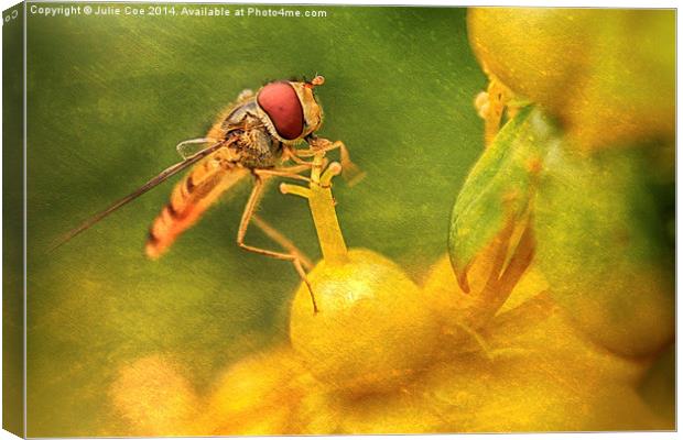 Hoverfly - 14 Canvas Print by Julie Coe