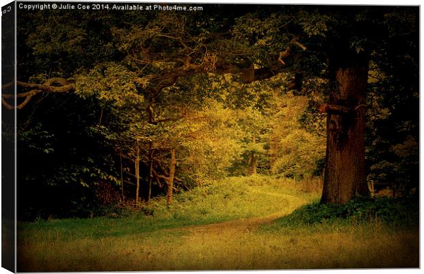 Blickling Woods 12 Canvas Print by Julie Coe