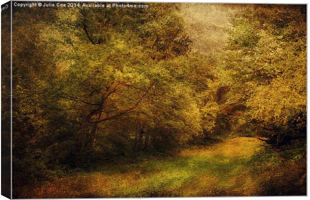 Blickling Woods 13 Canvas Print by Julie Coe