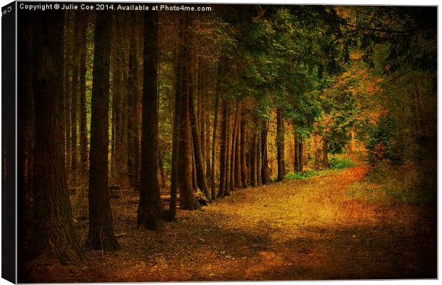 Blickling Woods 14 Canvas Print by Julie Coe