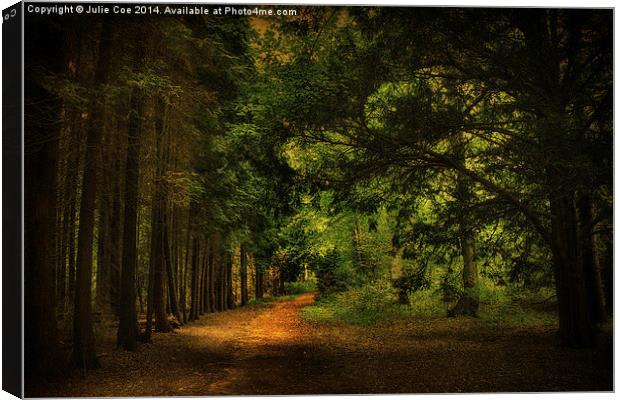 Blickling Woods 15 Canvas Print by Julie Coe