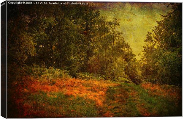 Blickling Woods 16 Canvas Print by Julie Coe