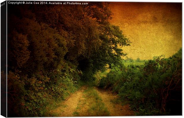 Little Barningham Walk Canvas Print by Julie Coe