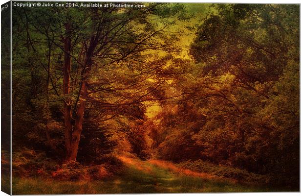 Blickling Woods 17 Canvas Print by Julie Coe