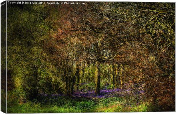Bluebell Wood 2 Canvas Print by Julie Coe