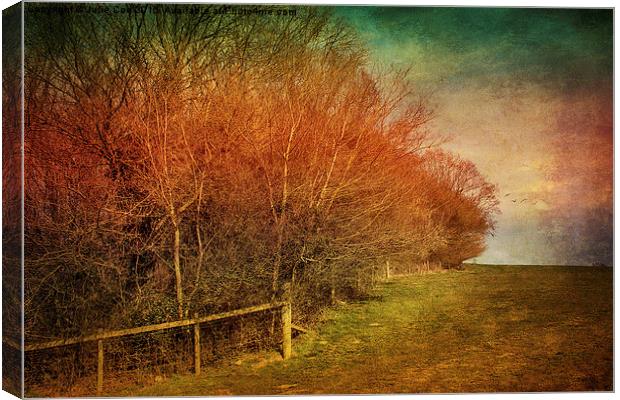 View From Bunkers 3 Canvas Print by Julie Coe