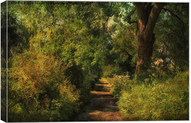 Stody, Norfolk 3 Canvas Print by Julie Coe