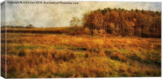 Across The Meadow Canvas Print by Julie Coe
