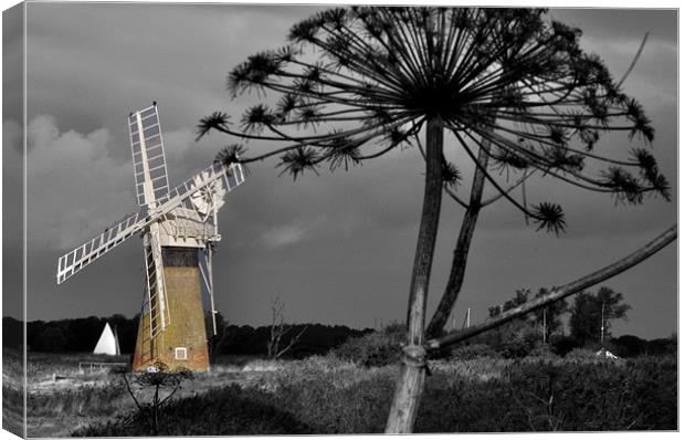 Colourful Mill Canvas Print by Barry Norton