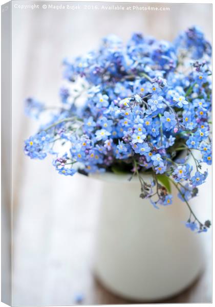 Forget me not Canvas Print by Magdalena Bujak