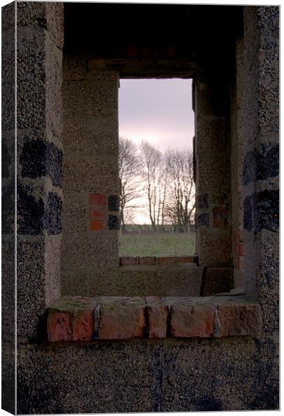 Through the window Canvas Print by David Moate