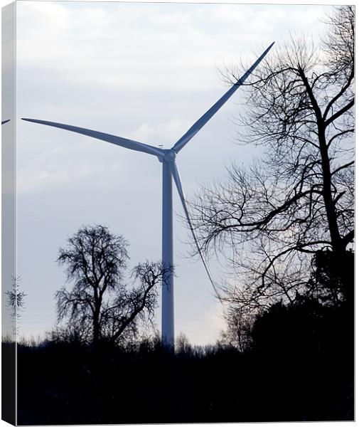 Wind Turbine through Trees Canvas Print by David Moate
