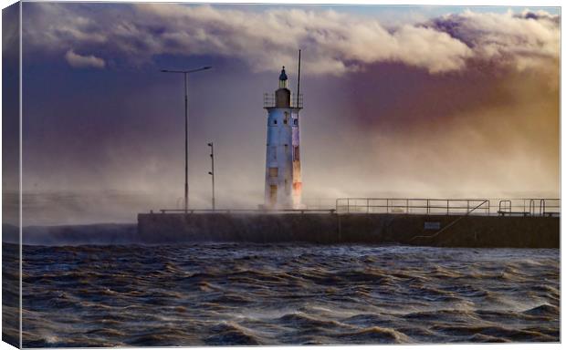 Anstruther Lighthouse Canvas Print by Andrew Beveridge