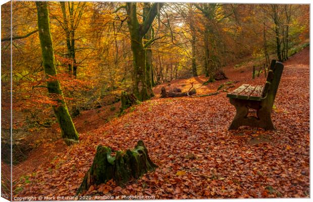 Autumn in the Woods Canvas Print by Mark Pritchard