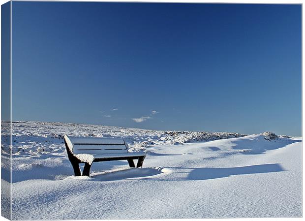 Seat in the Snow Canvas Print by Mark Pritchard