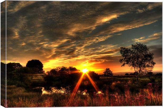 Waldridge Sunrise Canvas Print by Mark Pritchard