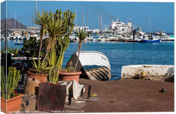 Cactus and Boats  Canvas Print by Rob Hawkins