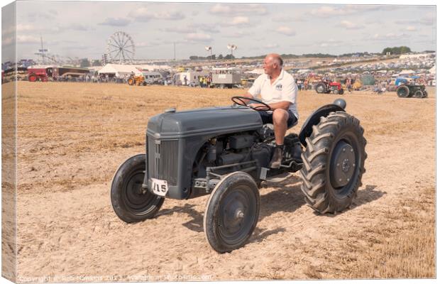 Little grey Fergie  Canvas Print by Rob Hawkins