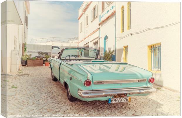 Portuguese Dart Canvas Print by Rob Hawkins