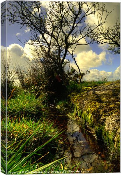 Trees, grass, water & sky Canvas Print by Rob Hawkins