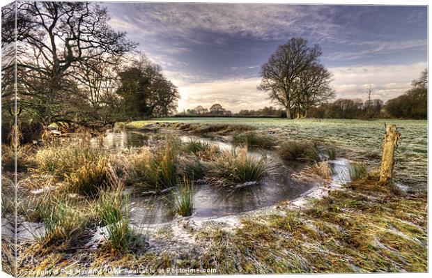 The  Frosty Field Canvas Print by Rob Hawkins