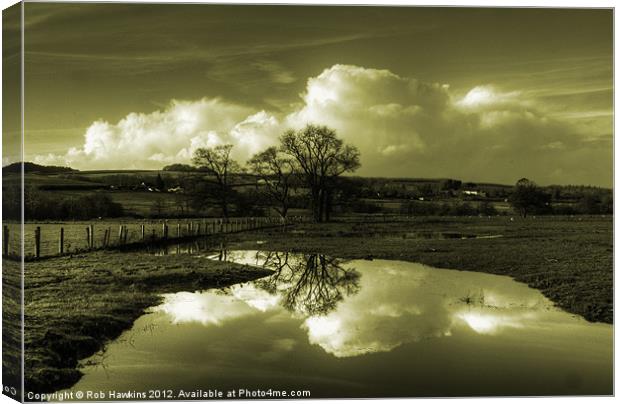 Golden Reflections of the Flood Canvas Print by Rob Hawkins