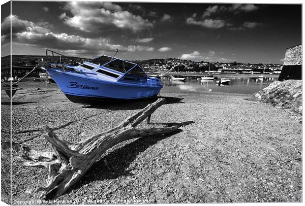 Fortuna and Driftwood Canvas Print by Rob Hawkins