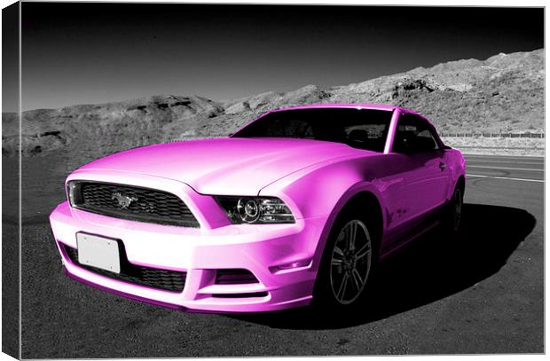 Pink Mustang Canvas Print by Rob Hawkins