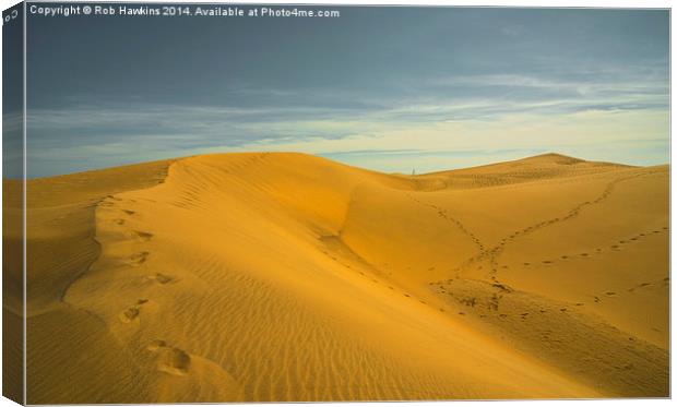  The Dunes  Canvas Print by Rob Hawkins