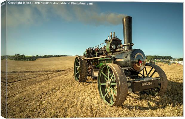  Princess Mary at Dorset  Canvas Print by Rob Hawkins