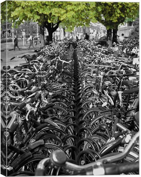 Bicycles Canvas Print by Rob Hawkins