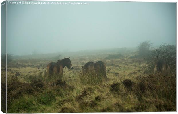  Ponies in the mist  Canvas Print by Rob Hawkins