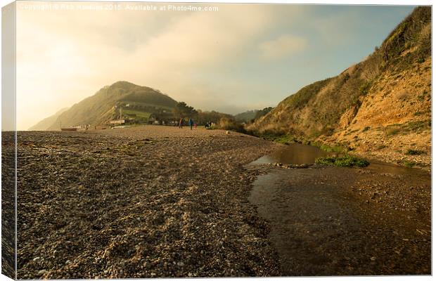  Branscombe Beach Vista  Canvas Print by Rob Hawkins