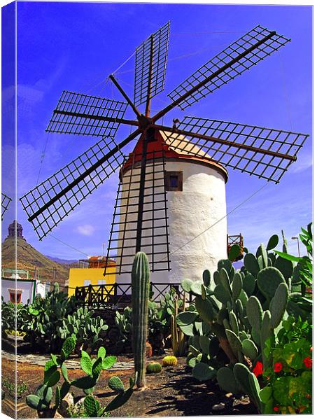 Tropical Windmill Canvas Print by Rob Hawkins