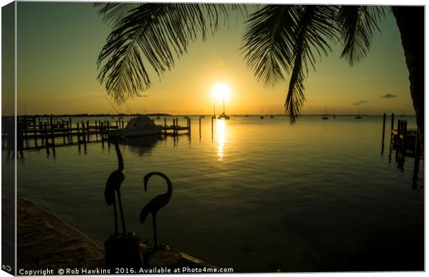 Pelican Sunset  Canvas Print by Rob Hawkins