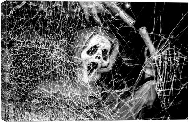 Shattered Scream  Canvas Print by Rob Hawkins