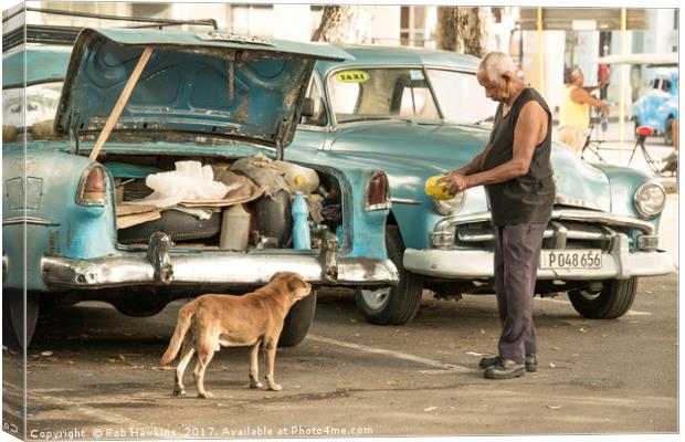 Cuban dog feed  Canvas Print by Rob Hawkins