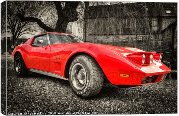 Little Red Stingray Canvas Print by Rob Hawkins