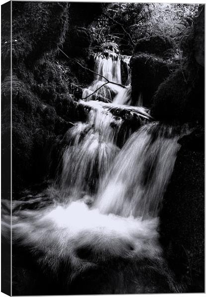 Black & white waterfall Canvas Print by Rob Hawkins