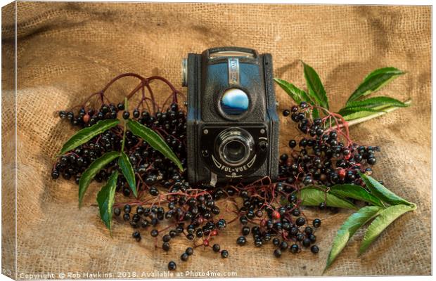 Ensign and the Elderberries Canvas Print by Rob Hawkins