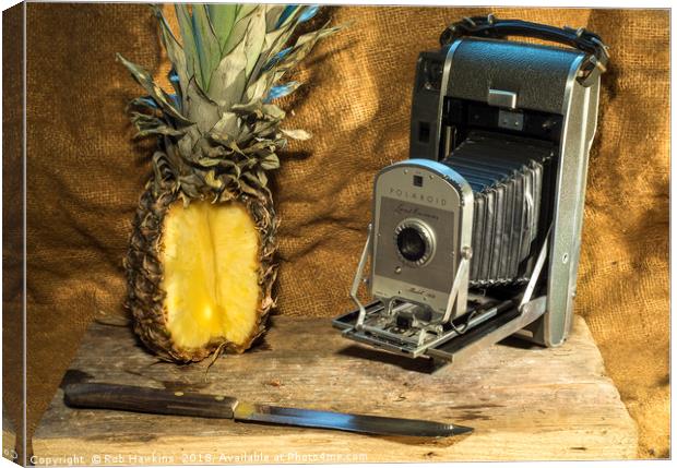 Polaroid and Pineapple  Canvas Print by Rob Hawkins